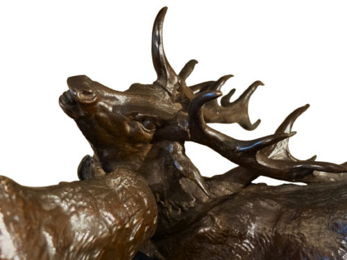 Combat de cerfs PJ.MENE